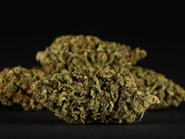 The Best Indica Strains