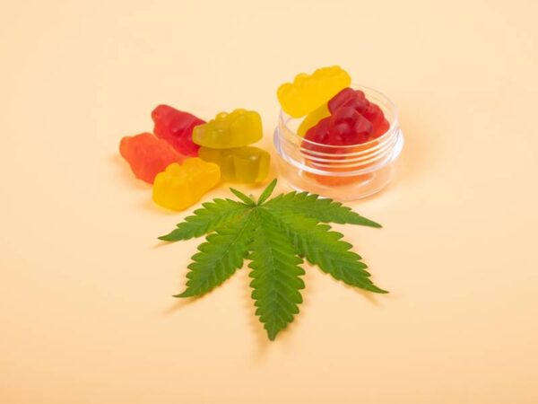 Are the Best Weed Gummies Available in Southeast Michigan?