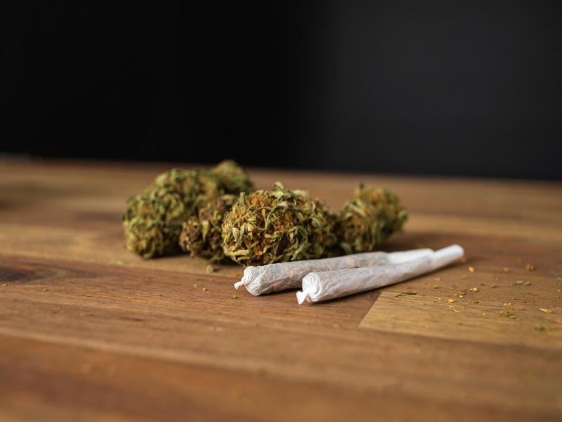 Where is the Best Cannabis Near Me in Detroit, MI?