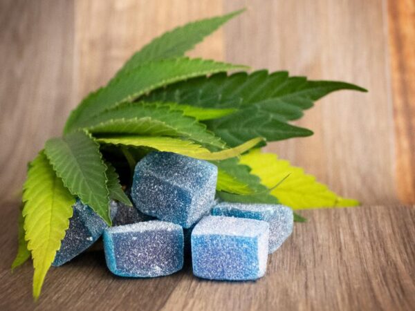 Blog 1 Who Has the Biggest Selection of Weed Gummies in Westland, MI?